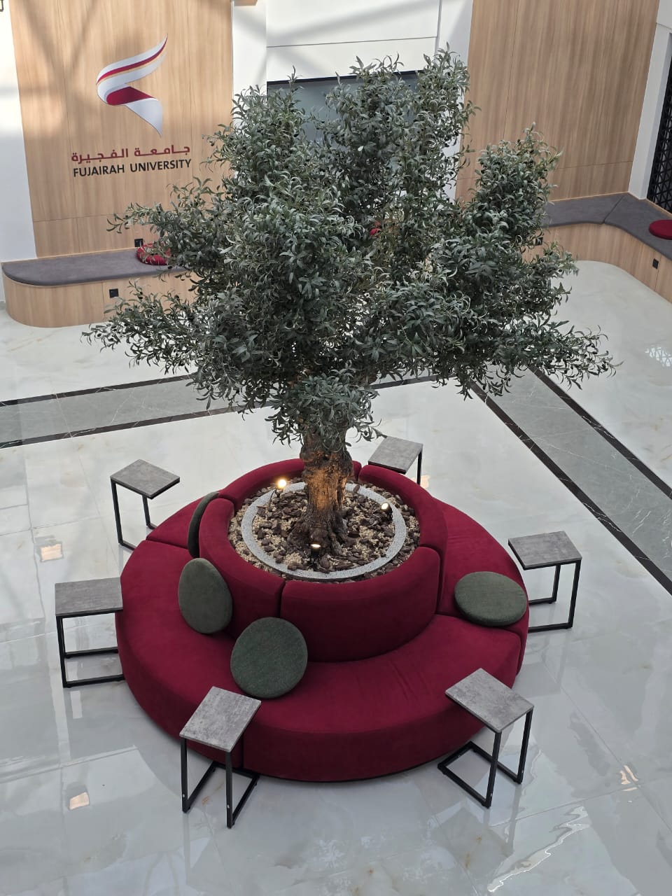 University of Fujairah – photo 4